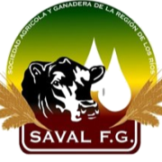 (c) Savalfg.cl